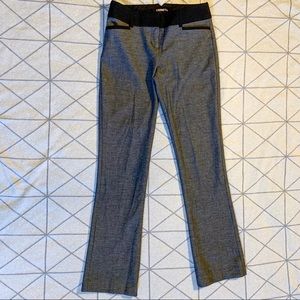 Express Columnist Dress Pants